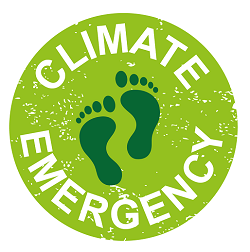 Image of climate emergency stamp