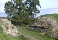 Image of Silchester Roman Town ruins