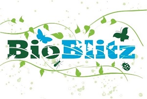 Bioblitz logo