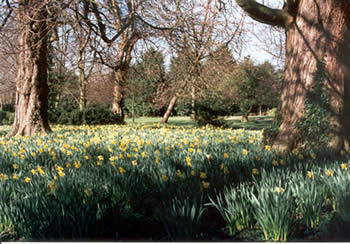 Glebe Gardens Glebe Gardens