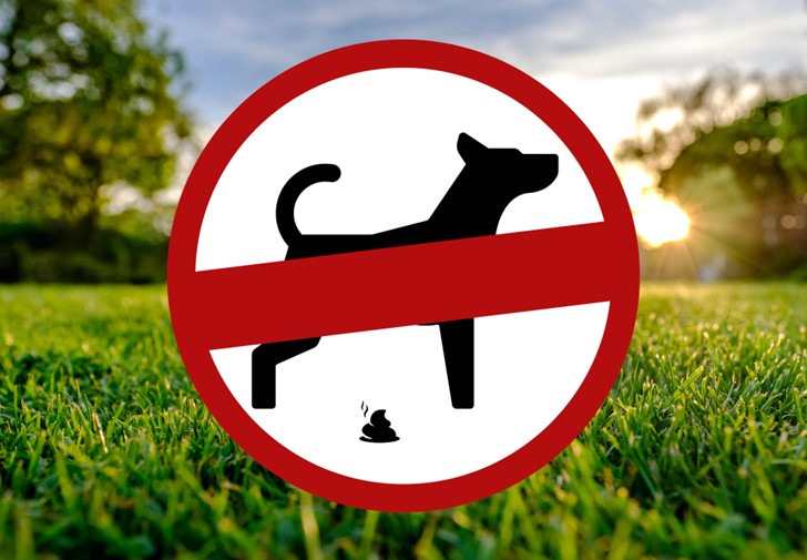 Dog fouling_website
