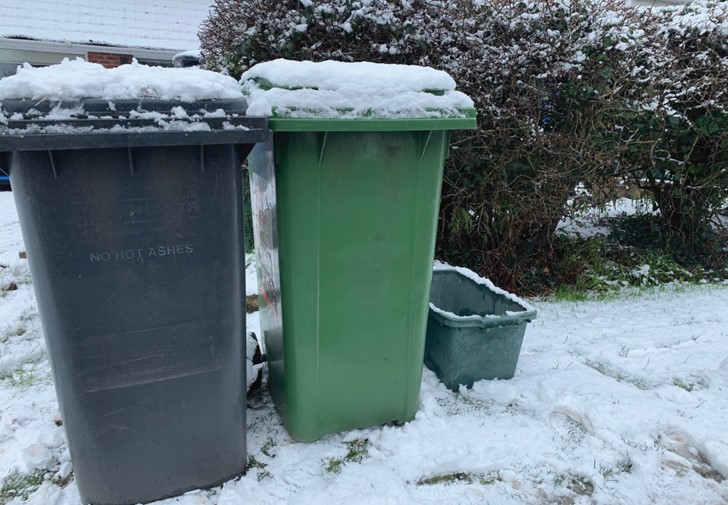 Snowy bins_website