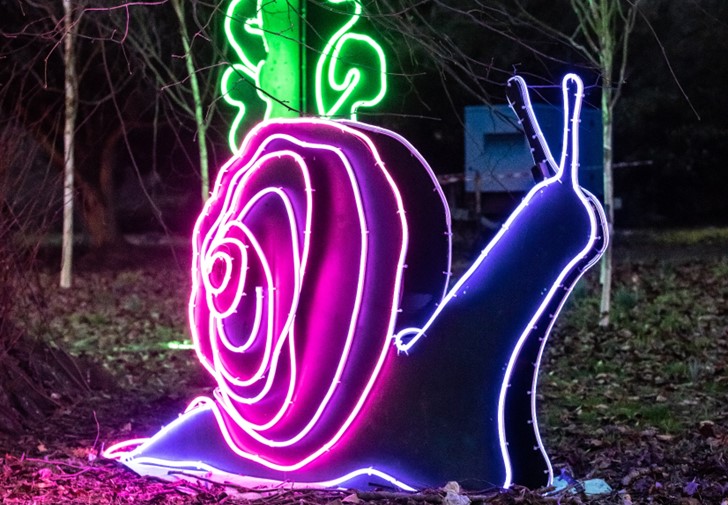 Let's Glow snail_website