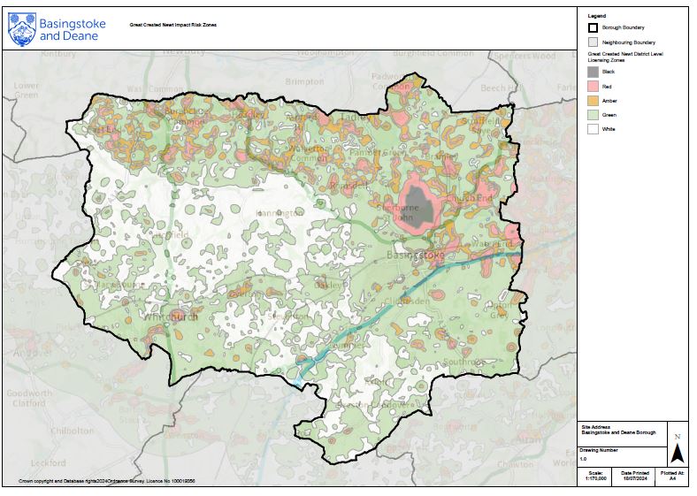 Great Crested Newt Impact Risk Zones map - July 2024