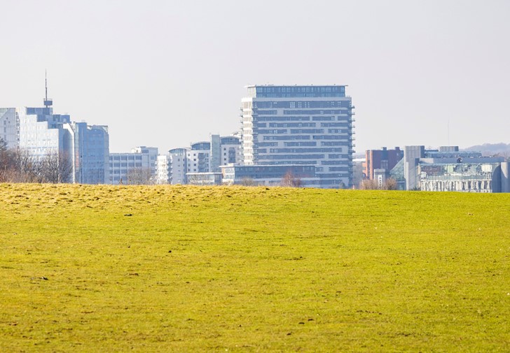 Basingstoke skyline_website
