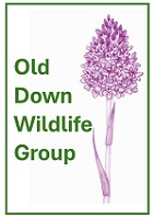 Old Down Wildlife group