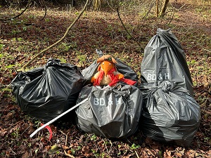 Litter pick collection Litter pick collection