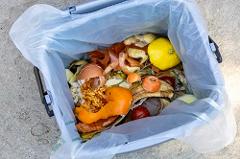 Food waste in caddy