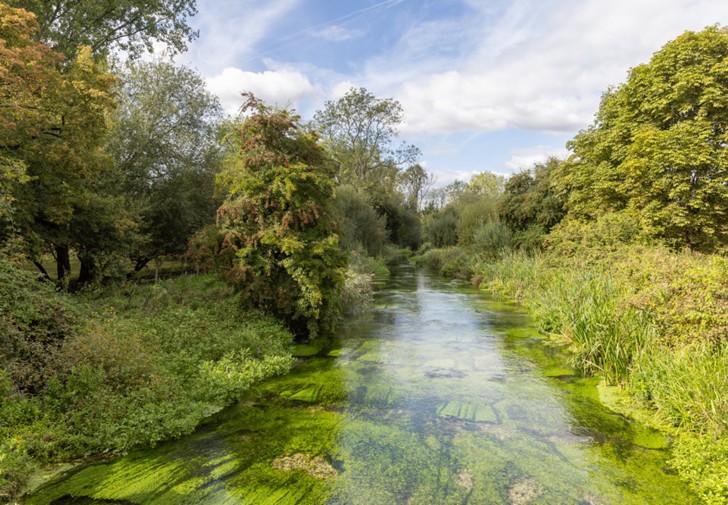 The River Test by Whitchurch.