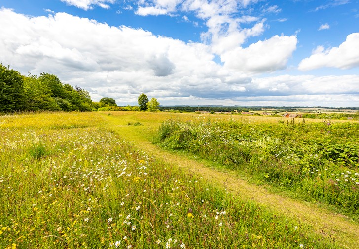 Fields at Old Down, Hatch Warren.