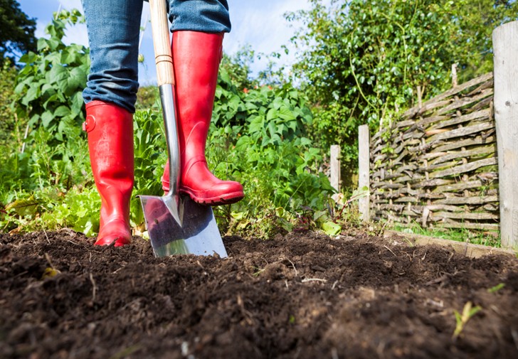 Gardening allotment_website