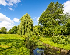 River Loddon running through Eastrop Park, Basingstoke Town Centre