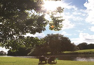 Image of the The Vyne gardens