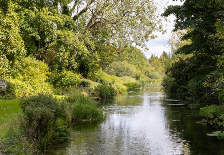 River Test_website